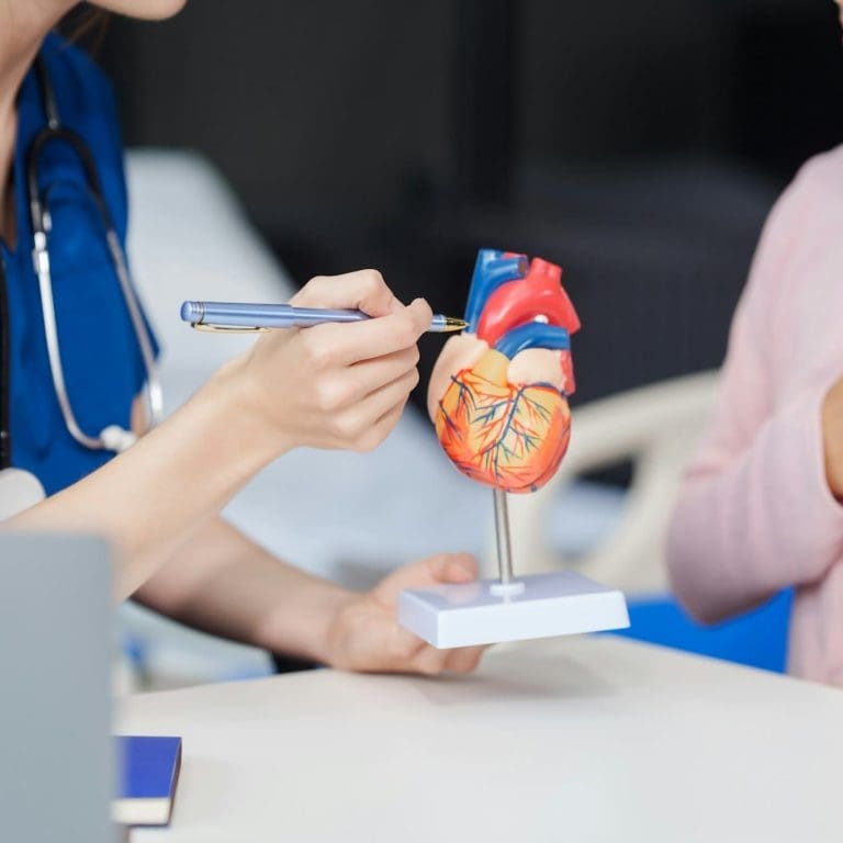 Doctor cardiolog explicand macheta unei inimi